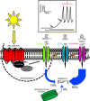 Figure 9.