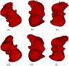 Fig. 3