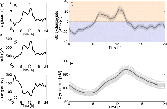 Fig. 12