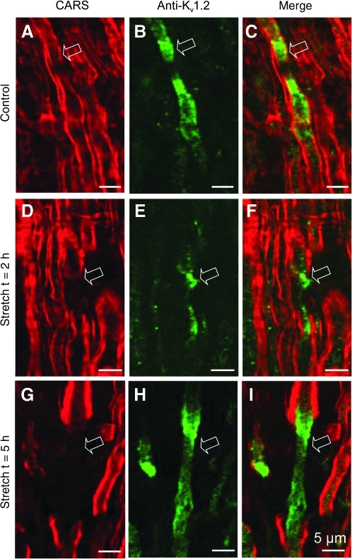 FIG. 6.