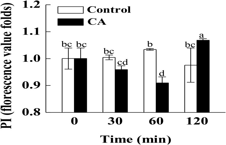 FIGURE 2