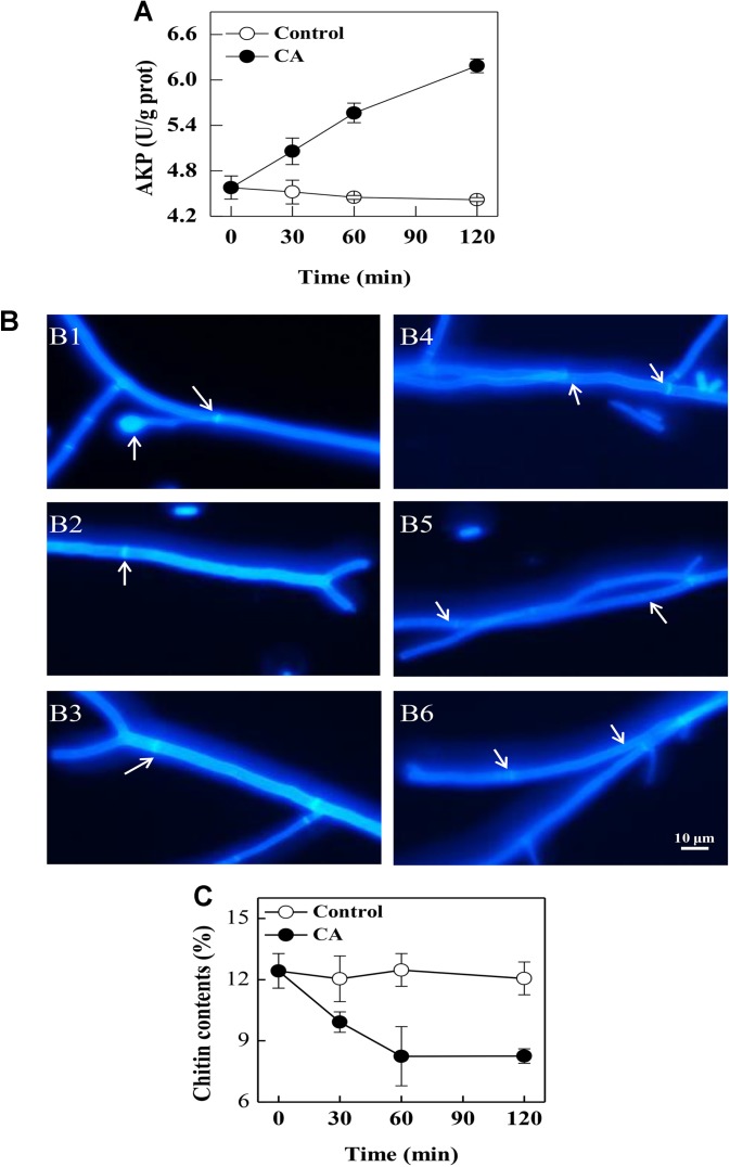 FIGURE 4