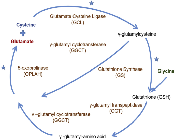 Fig. 2