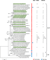 Fig. 1