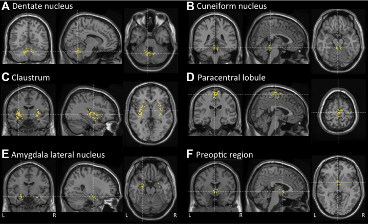 Figure 4