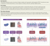 Structured Graphical Abstract