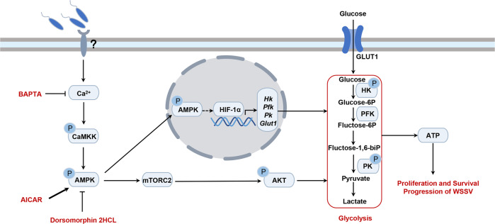 Fig. 10