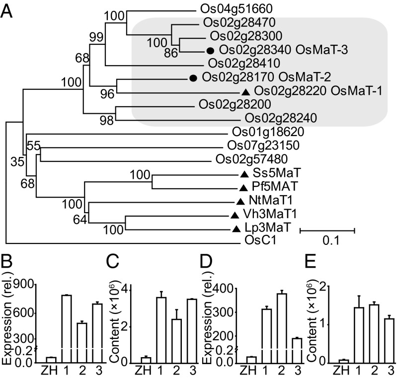 Fig. 3.