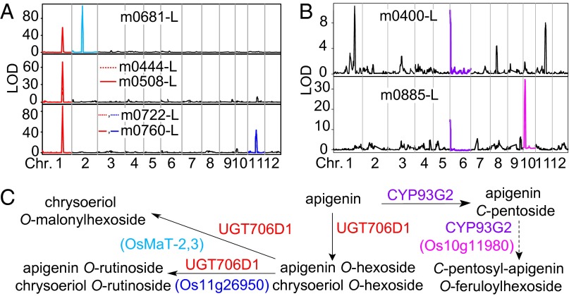 Fig. 4.