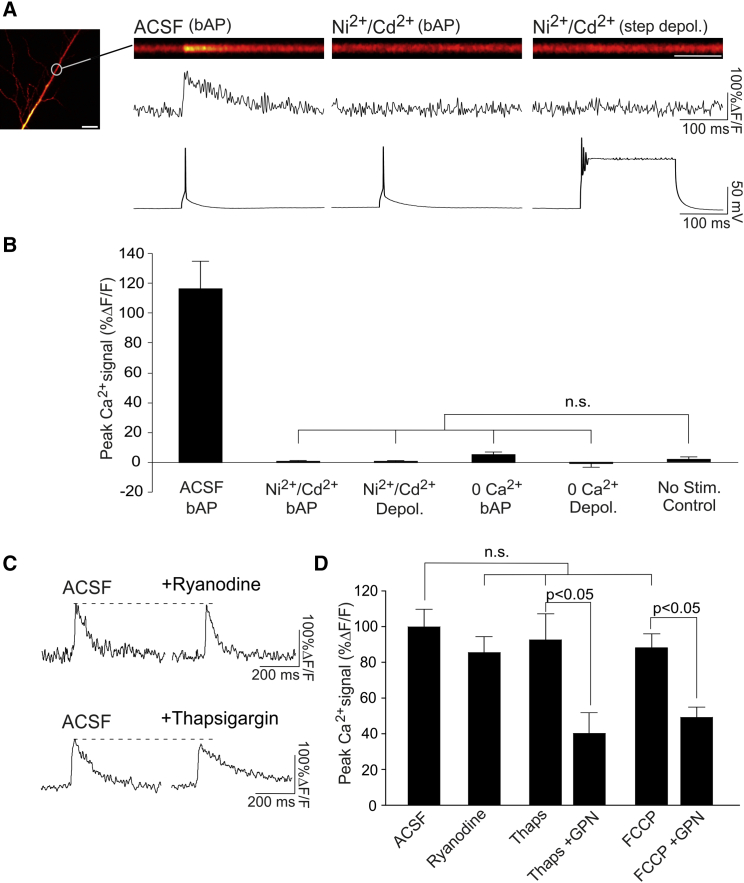 Figure 3