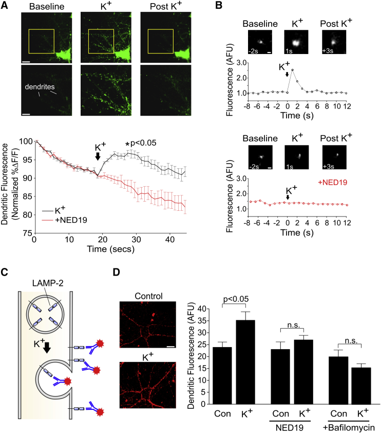 Figure 4