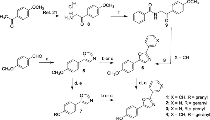 Scheme 1