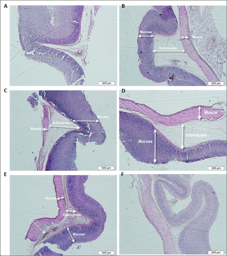 Figure 1: