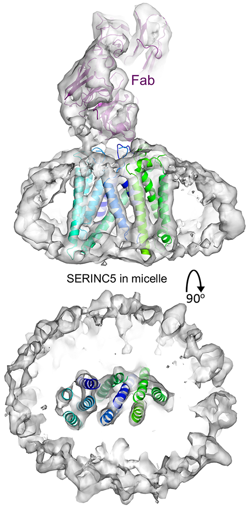 Figure 3 |