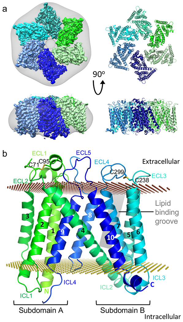 Figure 1 |