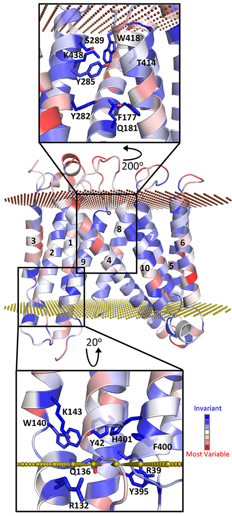 Figure 2 |