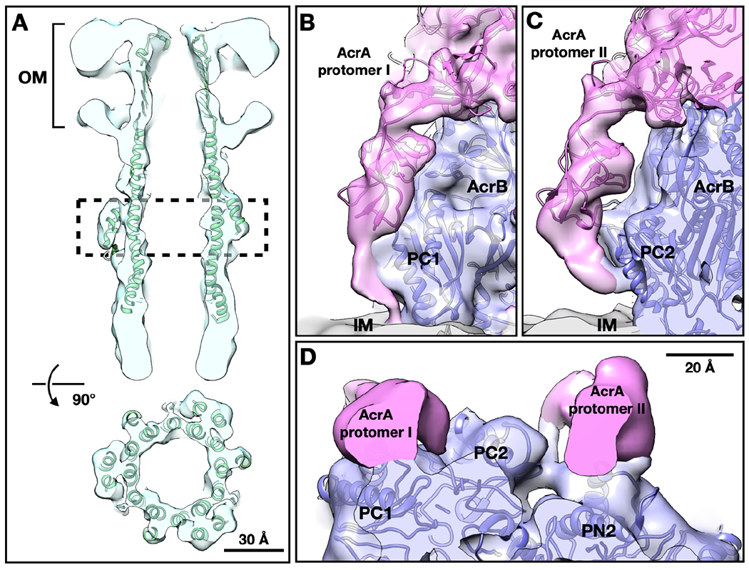 Figure 3.