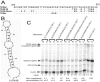 FIG. 2.