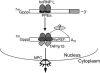FIG. 8.