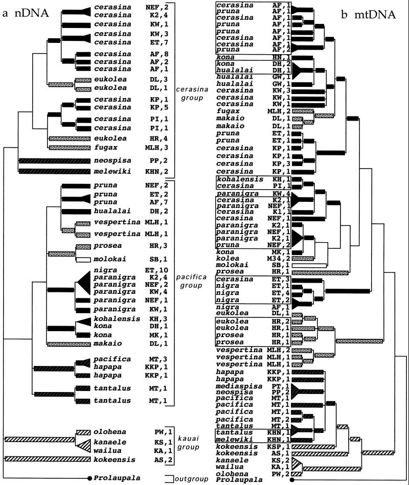 Fig 3.