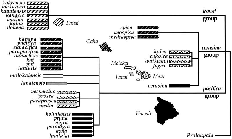 Fig 1.