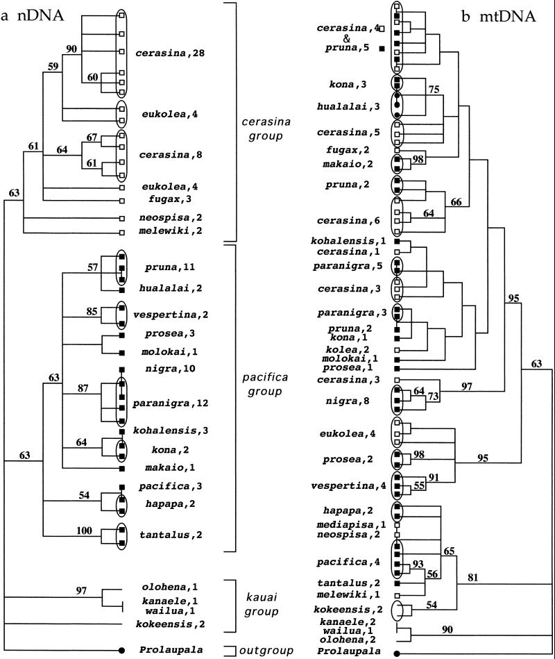 Fig 2.