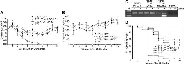 Figure 5.