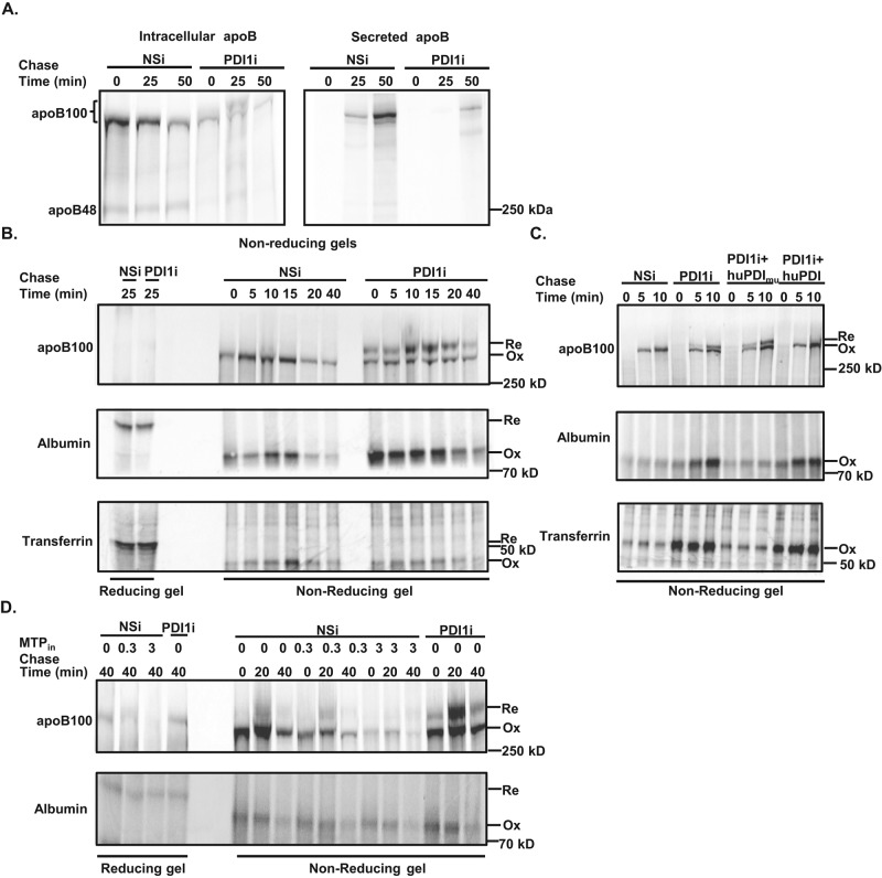 FIGURE 4: