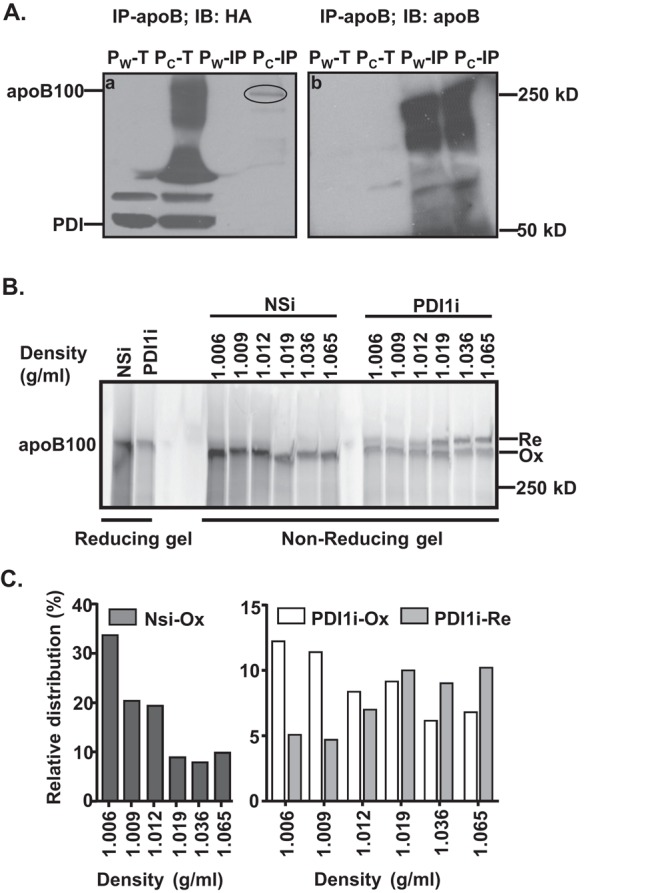 FIGURE 5: