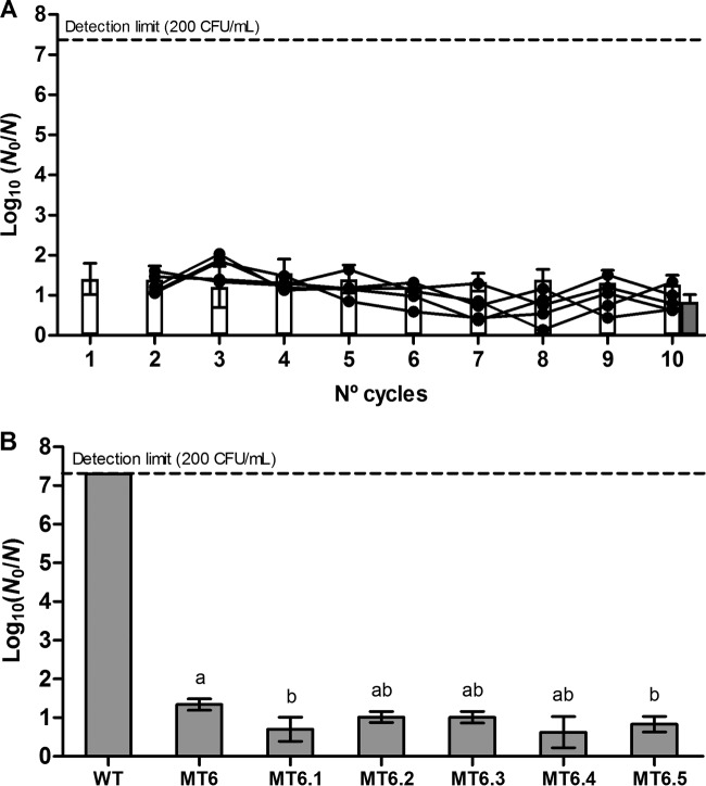 FIG 5