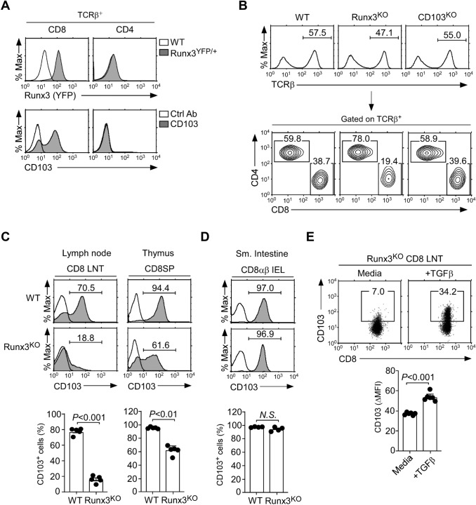 The molecular basis and cellular effects of distinct CD103 expression ...