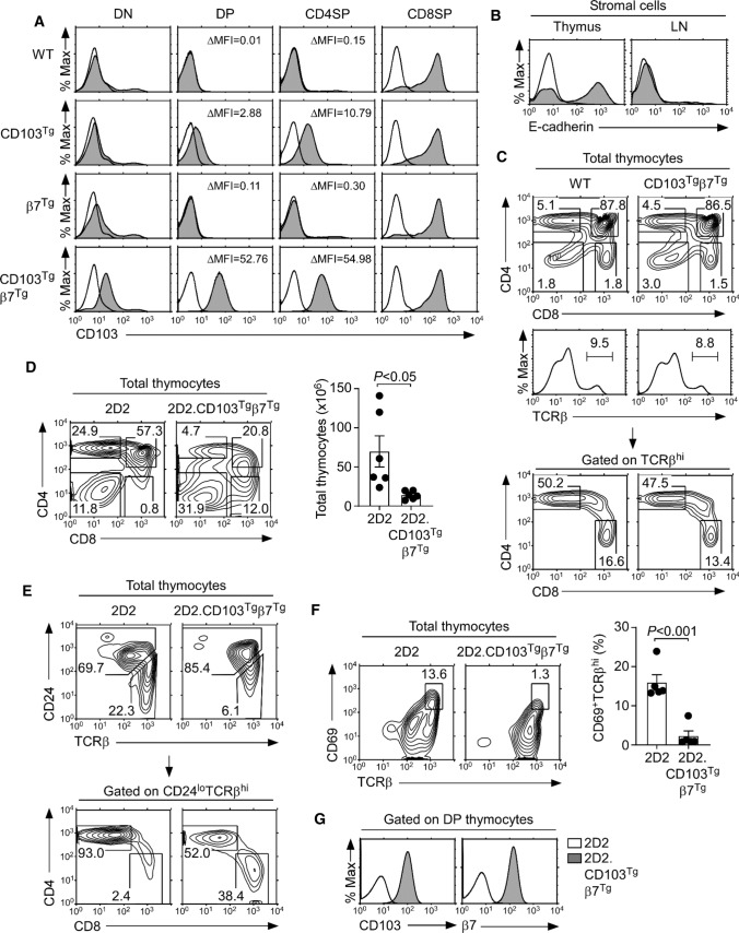 The molecular basis and cellular effects of distinct CD103 expression ...