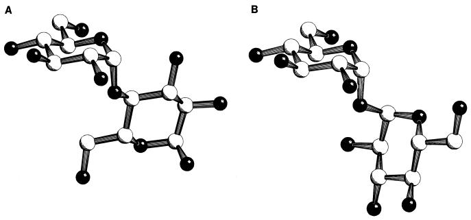 FIG. 8