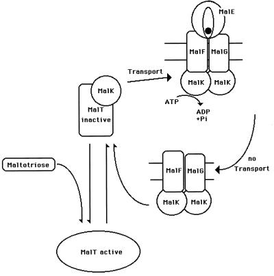 FIG. 7