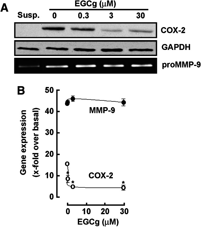 Fig. 6