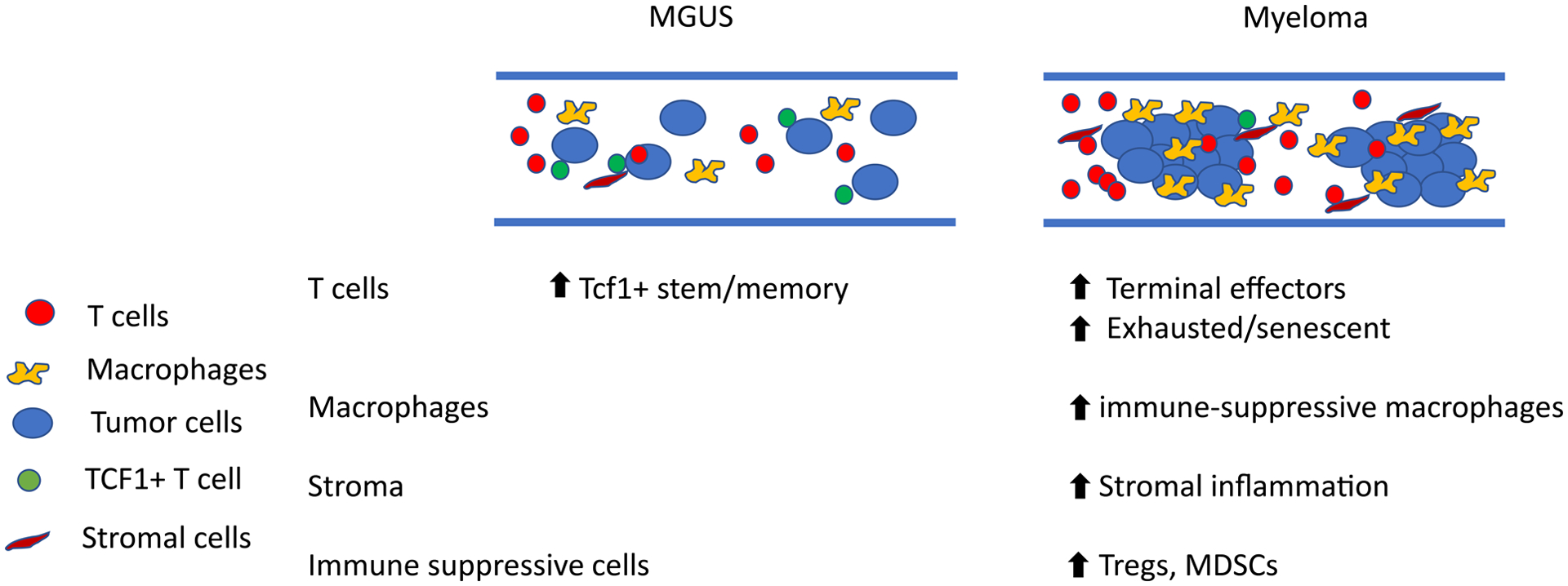 Fig 2.