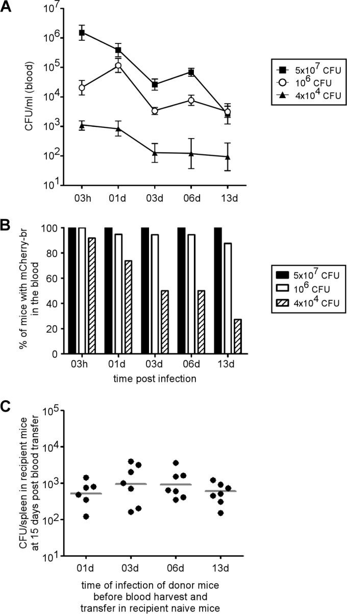 FIG 1