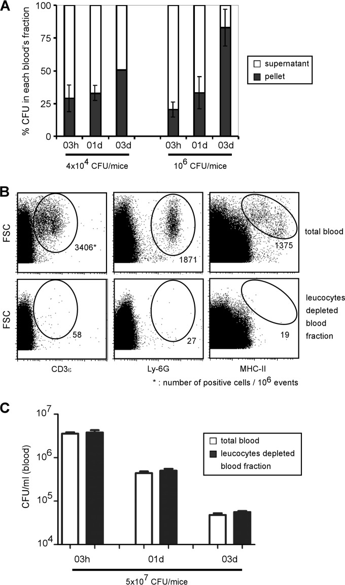 FIG 4