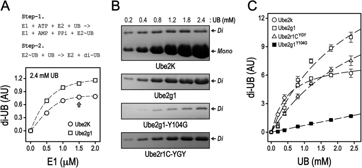 FIGURE 11.