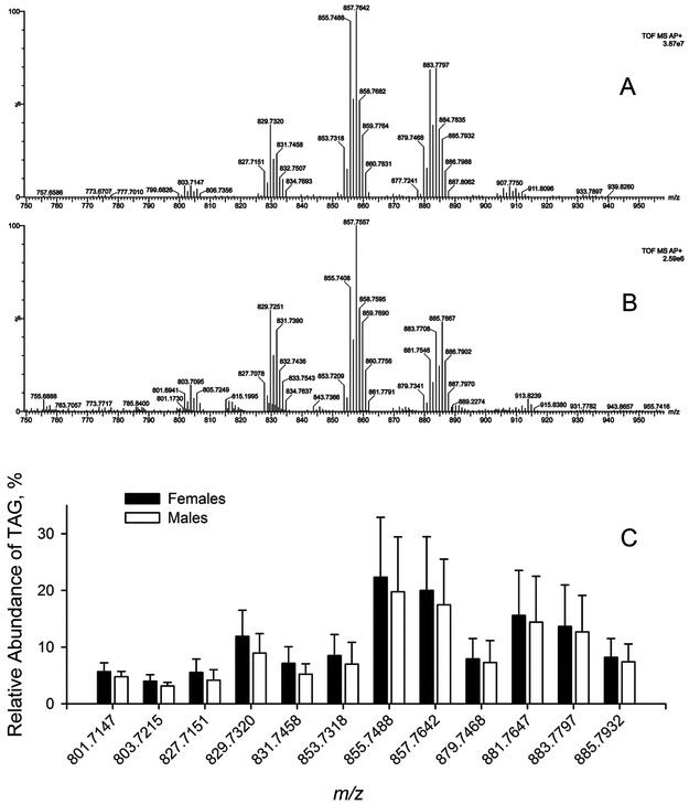 Figure 11.