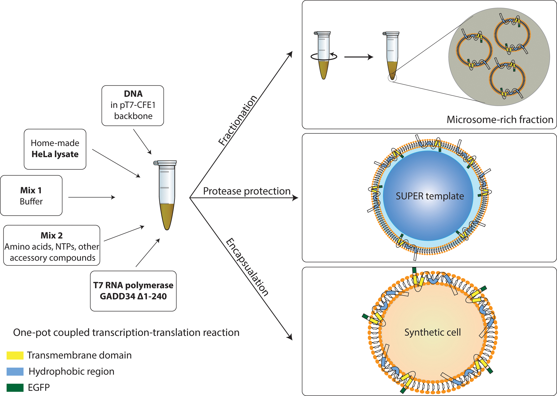 Figure 1: