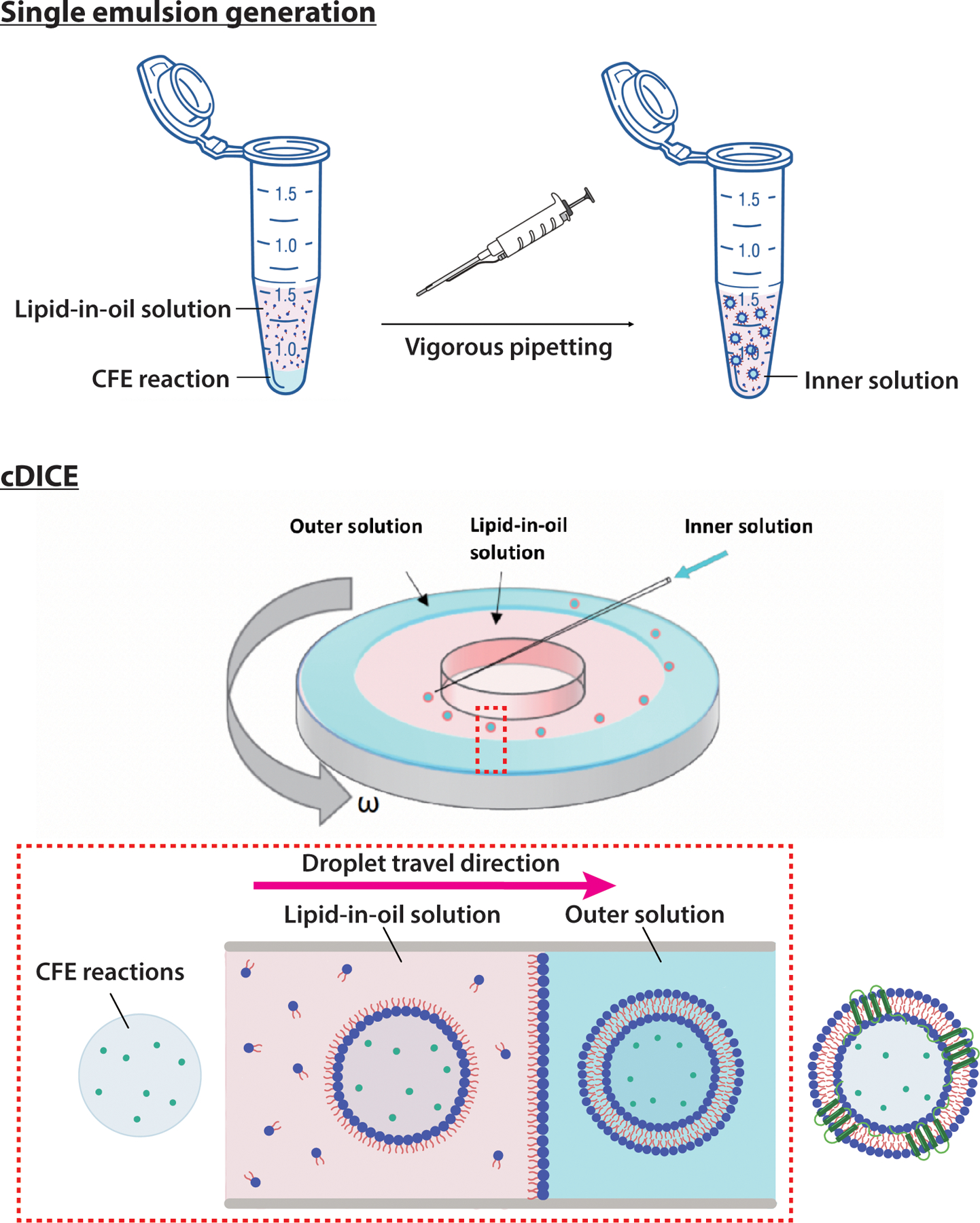 Figure 4: