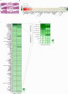 Extended Data Fig. 2
