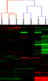 Fig 8