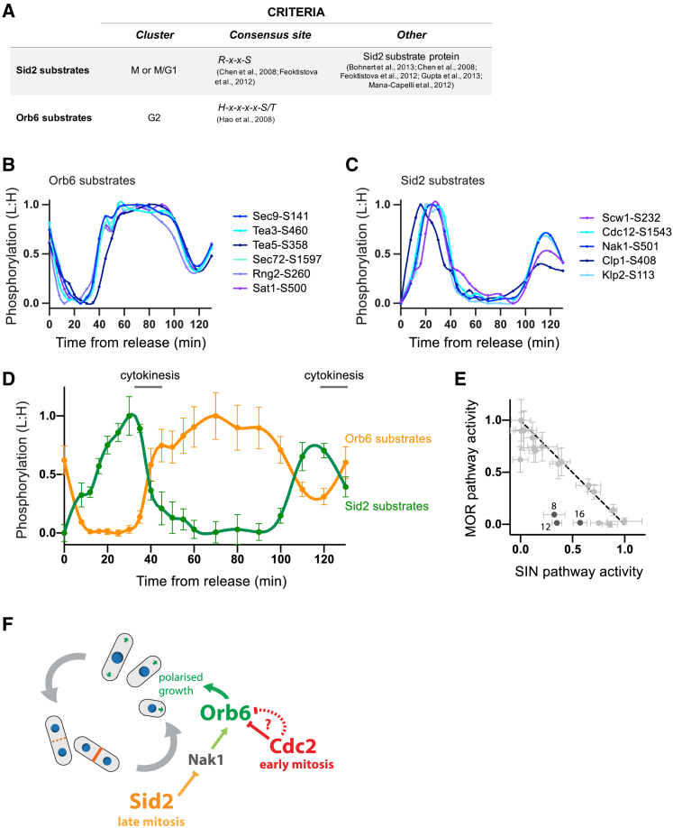 Figure 5