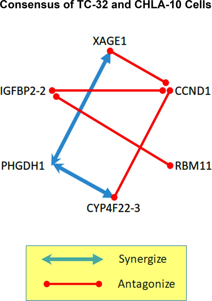 Figure 5