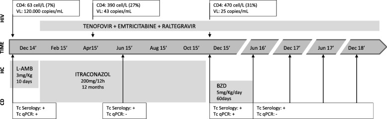 Fig. 1