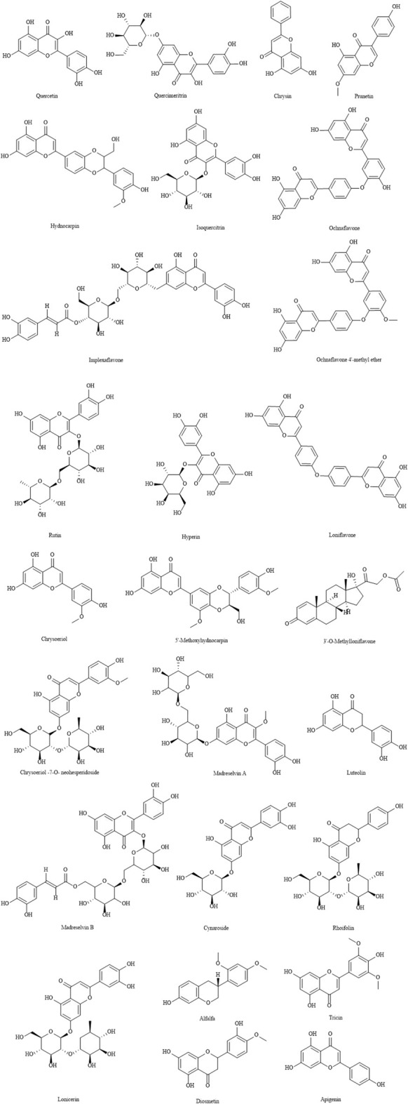 FIGURE 3