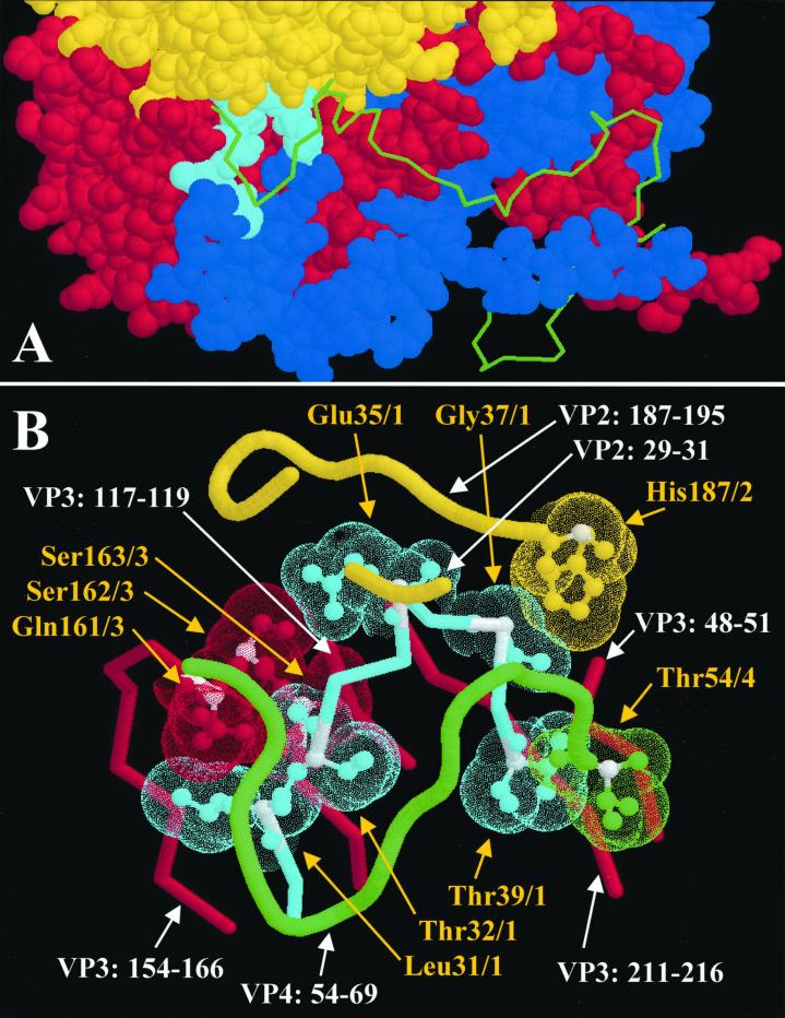 FIG. 8