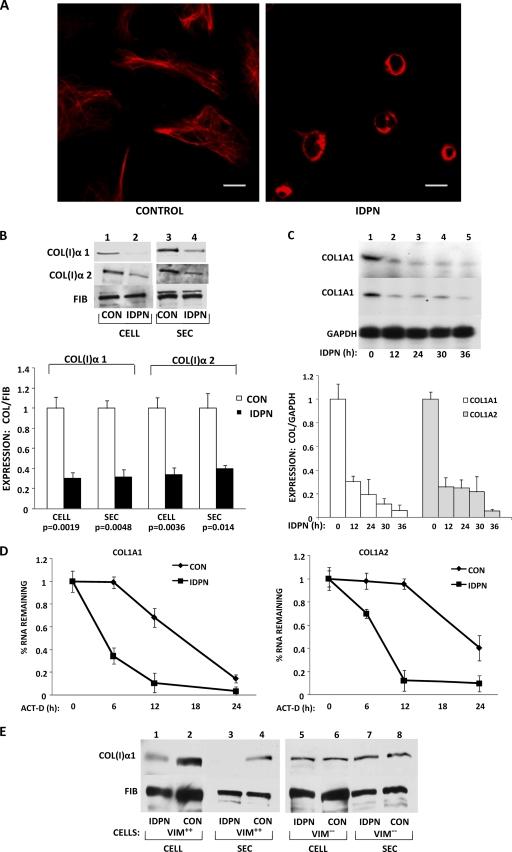 Fig. 8.